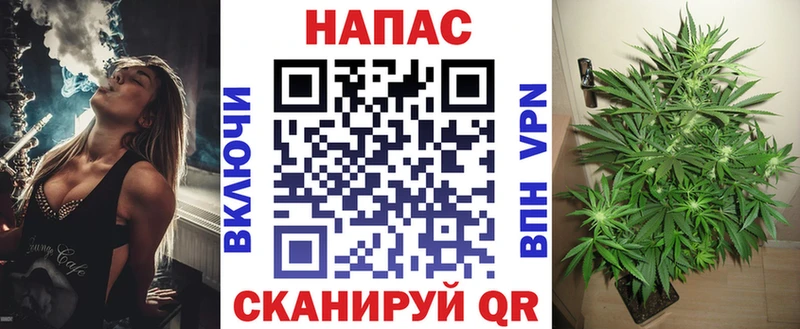 KRAKEN зеркало  где купить наркоту  Облучье  Бошки марихуана гибрид 